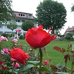 Ξενοδοχείο Hotel-restaurant Schwedi Langenargen