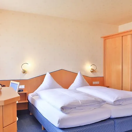 Hotel Hotel-restaurant Schwedi 3*