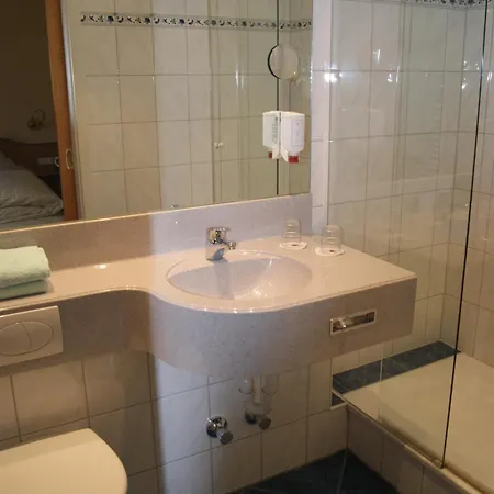 Hotel Hotel-restaurant Schwedi 3*