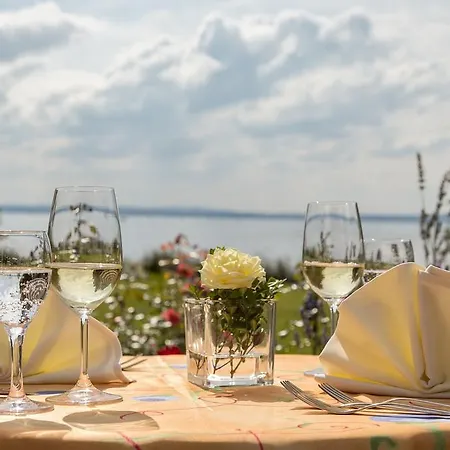 Hotel-restaurant Schwedi ホテル 3*