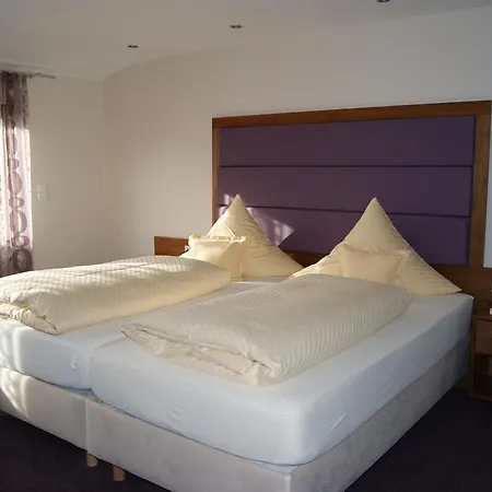 Hotel Hotel-restaurant Schwedi 3*