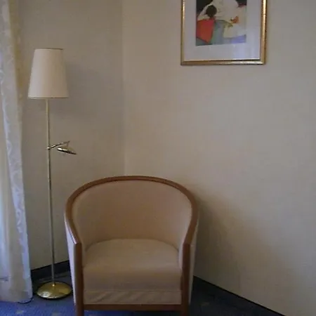 ホテル Hotel-restaurant Schwedi 3*