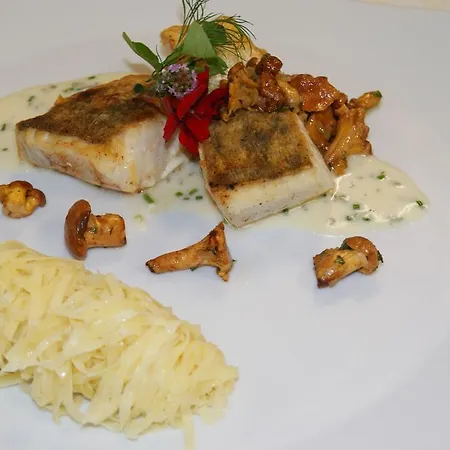 Hotel Hotel-restaurant Schwedi 3*