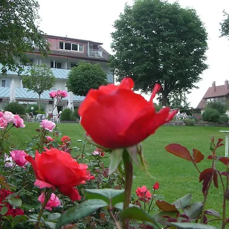 ホテル Hotel-restaurant Schwedi ランゲナルゲン