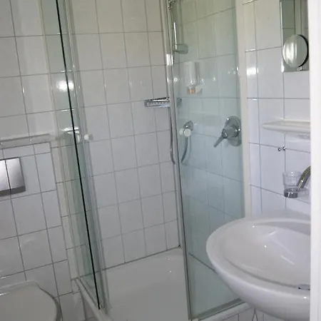 Hotel Hotel-restaurant Schwedi 3*