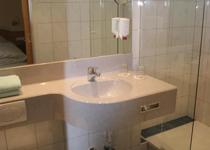 Otel Hotel-restaurant Schwedi 3*