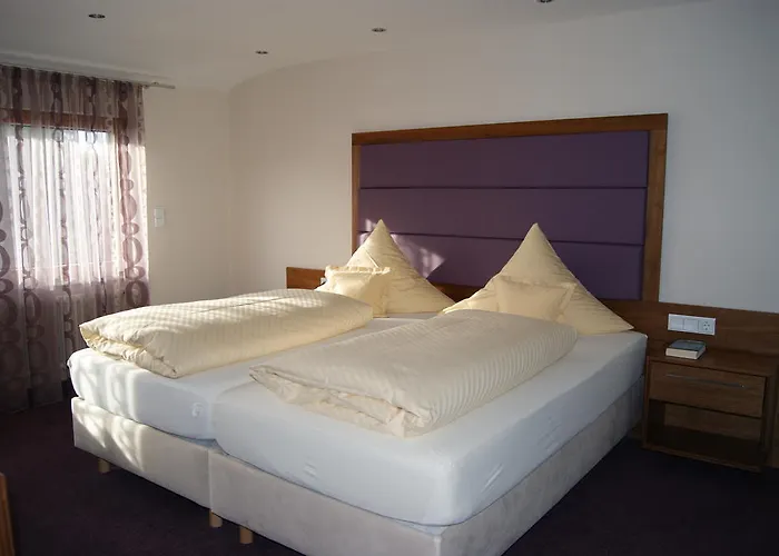 Hotel Hotel-restaurant Schwedi 3*