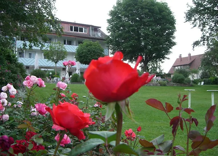 호텔 호텔-레스토랑-슈베디 랑게나르겐