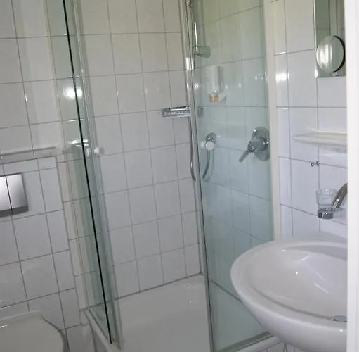 Hotel Hotel-restaurant Schwedi 3*