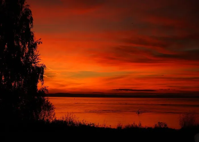 Hotel Hotel-restaurant Schwedi